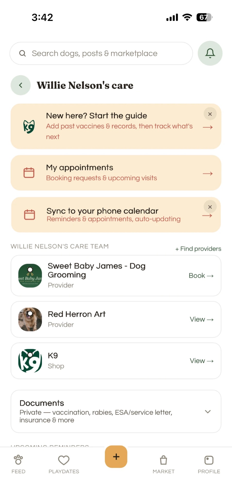 Your dog's care team and providers