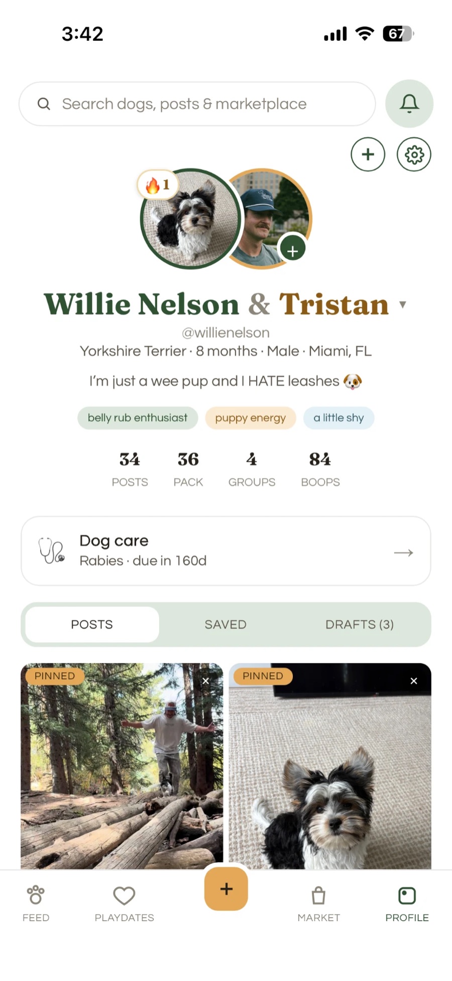A dog's profile on K9