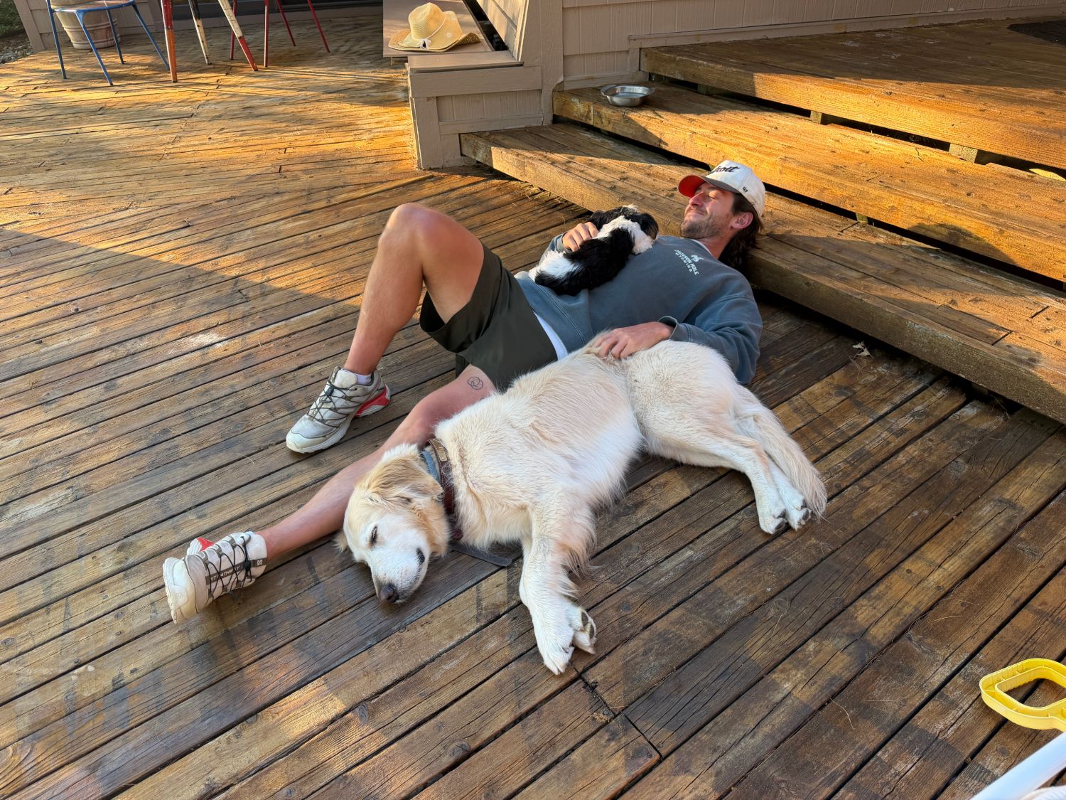 Tristan resting on the deck with his two dogs