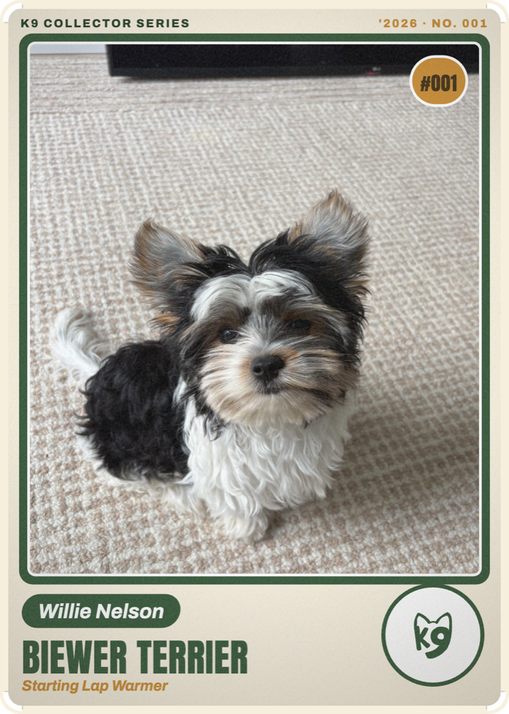 A K9 Custom Rookie Card - front and back
